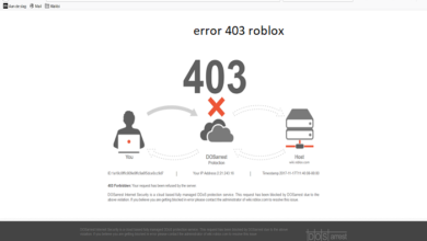 error 403 roblox